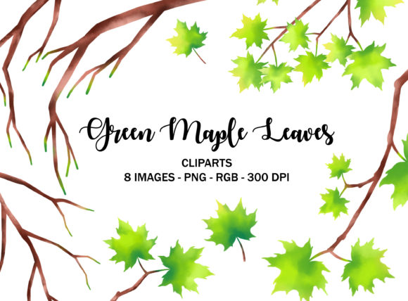 Download Green Maple Leaves Tree Illustrations - Illustration Collection