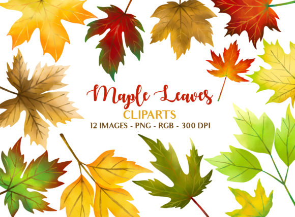 Download Maple Leaves Fall Season Illustrations - Illustration Collection